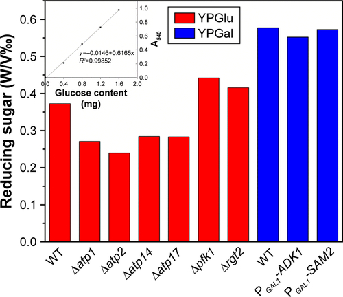 Figure S3 Sugar remaining in the supernatants of different strains after cultivation for 24 hours right before Na2SeO3 was added into the culture.Abbreviations: A540, absorbance; OD, optical density; WT, wild-type.