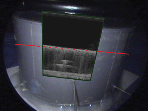 Figure 7. Ultrasound plane augmented on the laparoscope video – the red line is added manually to show the extension of the straight wire, which matches its ultrasound image. [Color version available online.]
