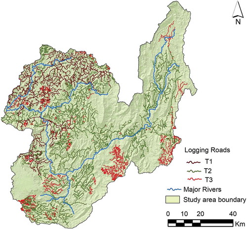 Figure 11. Spatial distribution of logging roads in the different time frames considered