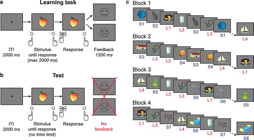 Figure 1. Reinforcement learning task and test of learned stimulus-response associations. (a) Sequence of events in an example trial of the RL task. (b) Sequence of events in an example trial of the test phase. The test phase was identical to the learning phase except for: 1. the absence of a response deadline, and 2. the absence of performance feedback. (c) Illustration of the trial sequences in the RL task. Each stimulus represents a complete trial. Each block featured stimuli from both the short- and the long-delay (S and L) condition. Note that the figure is a simplification. In the real task, there were 32 stimuli in each condition. Stimuli in the long-delay condition were presented 4 times in each block, stimuli in the short-delay condition were presented 16 times in one block.