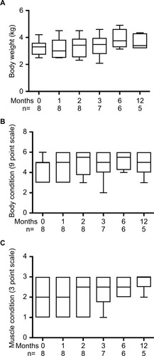 Figure 2 Body composition in cats with moderate-to-severe hyperthyroidism during 1-year consumption of an iodine-restricted diet.