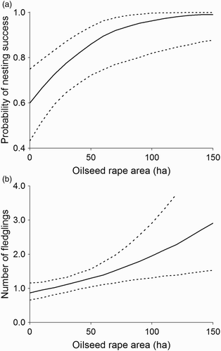 Figure 3. The relationship between area of oilseed rape in a diameter of 1 km around the nest and (a) the probability of nesting success and (b) the number of fledglings in the Common Buzzard, western Poland. Shown is the fit on the original scale from the mixed effect model with 95% confidence intervals.