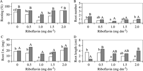 Figure 2.  Effect of riboflavin and NAA (0.1 mg dm−3 □, 1.0 mg dm−3 ▪) on the rooting% (A), root number per explant (B), root fresh weight (C), and root length (D) of trifoliate orange at the end of the experiment. Within the same NAA treatment, means followed by the same letter are not significantly different (Duncan multiple-range test, P≤0.05).