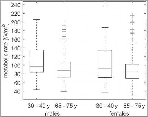 Figure 7. Calibrated metabolic rates of males and females for different age categories. The age groups 30–40 y and 65–75 y were chosen because information on these groups was available from the database of the Dutch central bureau for statistics (CBS) shown in Table 3.