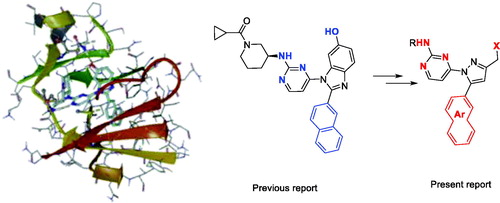 Figure 1. Docking structures of the previous JNK3 inhibitor (PDB: 3OY1) and design of the present 1-pyrimidyl-3-alkyl-5-aryl-1H-pyrazole scaffold.