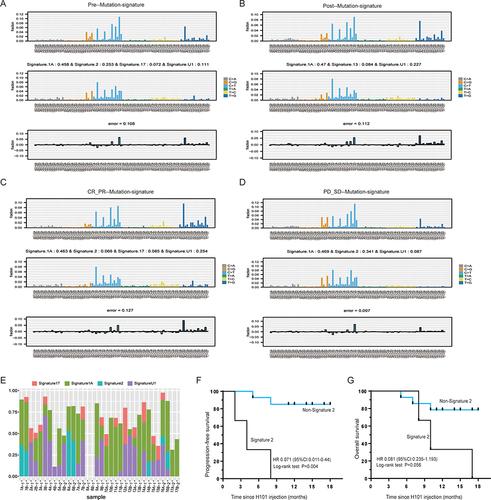 Figure 6 Mutational signature analysis in the tumor samples before and after H101-containing treatment. (A) Mutational signature analysis in tumors of patients before treatment and TCGA database. (B) Mutational signature analysis in tumors of patients after treatment and TCGA database. (C) Mutational signature analysis in tumors of patients with CR and PR, and TCGA database. (D) Mutational signature analysis in tumors of patients with PD and SD, and TCGA database. (E) Distribution of Signatures 1A, 2, 17, and U1 in patients (Capital A means pre-H101 treatment and capital B means post-H101 treatment; number 1 represents patients with CR and PR, and number 2 represents patients with SD and PR). (F) Kaplan-Meier curve for PFS in patients with Signature 2 mutation and Non-signature 2 mutations. (G) Kaplan-Meier curve for OS in patients with Signature 2 mutation and Non-signature 2 mutations.