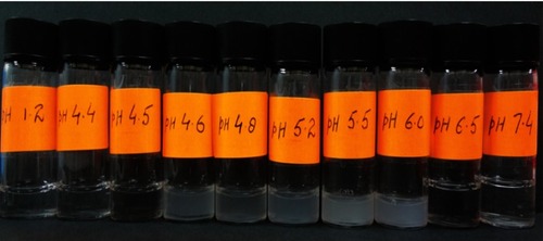 Plate 1 Physical appearance of insulin solution at different pH values.