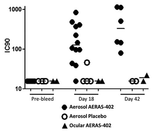Figure 3. Serum neutralizing antibodies. Serum was collected from animals prior to study inclusion (pre-bleed) and at each necropsy time point (SD 18 and 42). The Ad35 neutralizing antibody assay was performed and the 90% inhibitory concentration (IC90) calculated for animals receiving three aerosol immunizations on SD 1, 8, and 15 with AERAS-402 (closed circles) or placebo (open circles), or following a single ocular dose of AERAS-402 on study day 1 (triangles). Responses below the limit of detection are reported as an IC90 = 16. Bars represent group median IC90 results.