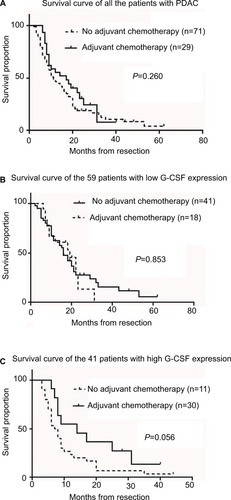 Figure 3 High G-CSF expression PDAC patients demonstrate the profit of adjuvant chemotherapy after resection.Notes: Three groups of PDAC patients with no G-CSF grouping and with G-CSF listed separately were examined for the profit of adjuvant chemotherapy by Kaplan–Meier analysis. (A) No grouping of G-CSF (P = 0.260); (B) low G-CSF expression group (P = 0.853); (C) high G-CSF expression group (P = 0.056).Abbreviations: G-CSF, granulocyte colony-stimulating factor; PDAC, pancreatic ductal adenocarcinoma.