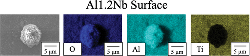 Figure 5. SEM and EDS images of the surface of Al1.2Nb after 14 d of isothermal oxidation in laboratory air at 800°C.