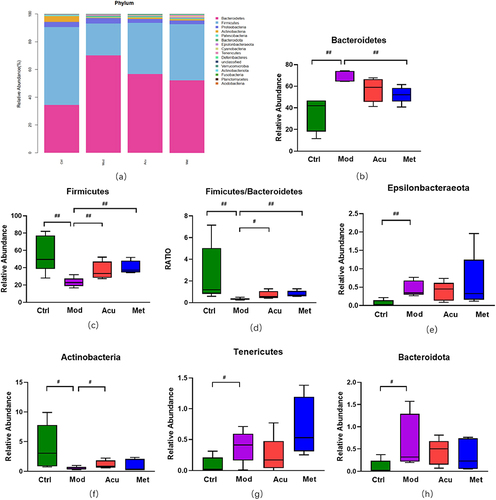 Figure 5 Structure and difference analysis of phyla horizontal flora. (a) Histogram of relative abundance of mouse flora composition at phyla level in each group. (b) Comparison of the relative abundance of Bacteroidetes. (c) Comparison of relative abundance of Firmicutes. (d) Relative abundance ratio of Firmicutes/Bacteroidetes. (e) Comparison of relative abundance of Epsilonbacteraeota. (f) Comparison of relative abundance of Actinobacteria. (g) Comparison of relative abundance of Tenericutes. (h) Comparison of relative abundance of Bacteroidota. # P<0.05, ##P< 0.01 (n=5).