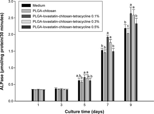 Figure 5 Osteogenic potential of PLGA-chitosan and PLGA-lovastatin-chitosan-tetracycline 0.1%, 0.3%, and 0.5% on days 1, 3, 5, 7, and 9 of culture.Note: Significant differences were represented with different letters (a,b,c).Abbreviations: ALPase, alkaline phosphatase; PLGA, poly(d,l-lactide-co-glycolide acid).