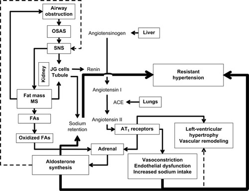 Figure 1 Relationships among factors in resistant hypertension.