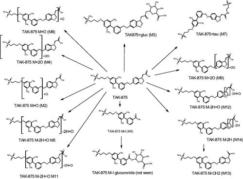 Figure 7. The circulating metabolites of fasiglifam (TAK875), shown as semi-localised structures indicating the likely sites of metabolism where these could not be determined with confidence based on MSMS data alone.