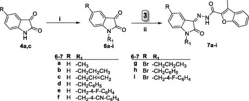 Scheme 2. Synthesis of target benzofurans 7a–i; (i) (R-Br or Ar-Br)/Acetonitrile/KI (Cat.)/potassium carbonate/reflux 3 h, (ii) Ethanol absolute/drops glacial acetic acid (Cat.)/reflux 3–6 h.