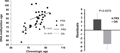 Figure 3. Epigenetic aging of hMSCs. Left: Comparison of epigenetic and chronological age. Regression lines for each patient group are shown. Right: Deviation from the overall regression line with the 2 groups combined (mean and SE residuals in each patient group).