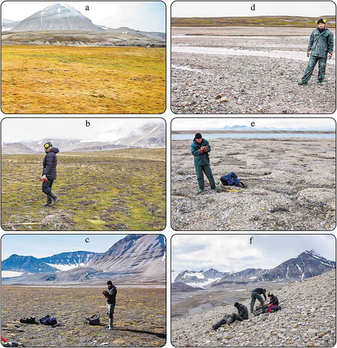 Figure 2. Typical land cover and landform classes on the Brøgger Peninsula (Svalbard). Land cover classes: the term “vegetated area” is used to group all vegetated land cover classes together: fen tundra (a), dense shrub moss tundra (b), patchy shrub moss tundra, and sparse shrub moss tundra (c). The fraction of the land surface covered with vegetation is within the range 95–100 percent for fen tundra, 75–95 percent for dense shrub moss tundra, 25–75 percent for patchy shrub moss tundra, and 5–25 percent for sparse shrub moss tundra. The fraction of the land surface covered by vegetation is less than 5 percent for the land cover classes: bare glacial fluvial sediment (d), barren gravel (e and f), and shallow open water. Landform classes: both solifluction lobes and solifluction sheets are grouped under “solifluction slopes” (a and b), sandur (d), patterned ground (e), and colluvial fans (f).