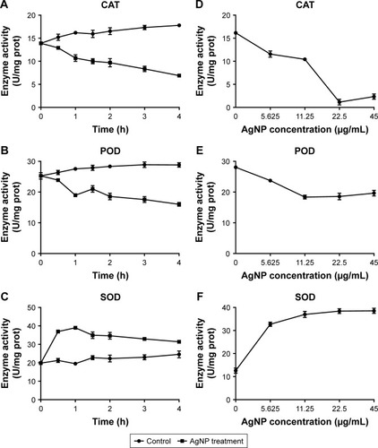 Figure 8 Alteration of the activities of CAT, POD, and SOD in AgNP-treated multidrug-resistant Pseudomonas aeruginosa.Notes: (A–C) The activity–time curves of CAT, POD, and SOD, respectively, when P. aeruginosa was exposed to AgNP treatment at different time points of 0, 0.5, 1, 1.5, 2, 3, and 4 hours, respectively. (D–F) The activity–concentration curves of CAT, POD, and SOD, respectively, when the bacteria were addressed by a series of AgNP concentrations of 0, 5.625, 11.25, 22.5, and 45 µg/mL, respectively.Abbreviations: AgNP, silver nanoparticle; CAT, catalase; POD, peroxidase; SOD, superoxide dismutase.