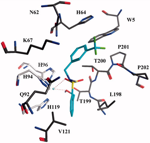 Figure 2. Docked pose of compound 6 in the active site of hCA XII. Hydrogen bonds and interactions to the Zn2+-ion are depicted in red dashed lines. The Zn2+-ion is depicted as a turquoise sphere. The three zinc-binding Histidines (H94, H96 and H119) are depicted in light gray for clarity.