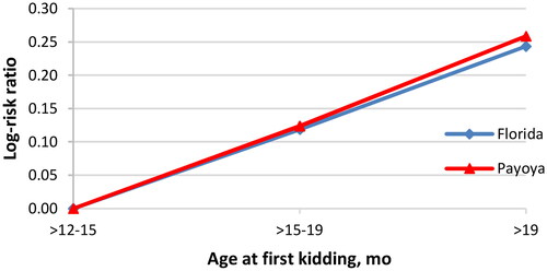 Figure 1. Time-independent effect of the age at first kidding expressed as culling log-risk ratio for productive life in survival analysis in the Florida and Payoya breeds.