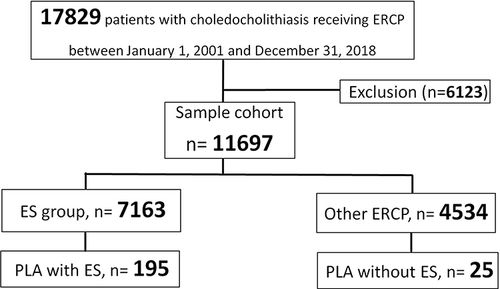 Figure 1 Schematic Flowchart of Enrolled Patients with the Development of Pyogenic Liver Abscess (PLA) with or without Endoscopic Sphincterotomy (ES).