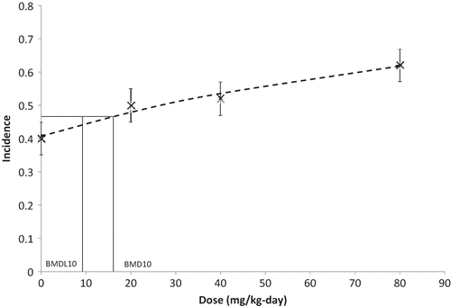 FIGURE 3. Benchmark dose modeling results based on eosinophilic foci data in male and female rats exposed to SAN Trimer for 2 years (NTP 2011a). X = incidence; error bars = standard deviation; dashed line = log-logistic model; solid lines = BMD and BMDL.