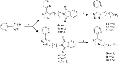 Figure 2 Synthesis of N1-submitted and N2-submitted 5-aryl-tetrazolyl alkylamines.