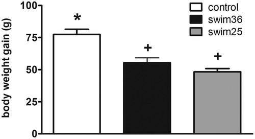 Figure 1. Body weight gain in stress-naive (control) rats and rats chronically exposed to forced swim at 25 °C (swim25) or 36 °C (swim36). A GzLM was used. Group mean +/− s.e.m. (n = 10 for each group) body weight gain over the 13 days of treatment are represented. Groups labelled with different symbols are statistically different (at least p < 0.05 after sequential Bonferroni post-hoc).