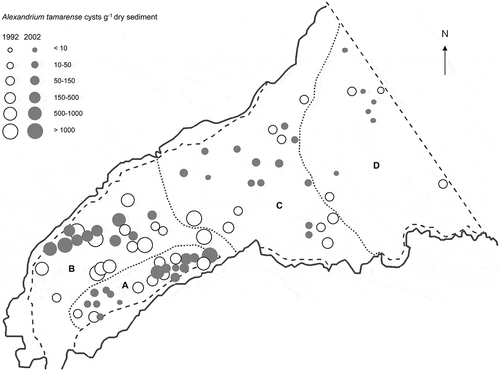 Fig. 2. Mean concentration of Alexandrium tamarense (cysts g−1 dry weight) in the surface sediments (0–5 cm depth) from 44 stations sampled in Belfast Lough in November 2002 and April 2003 (filled) and those obtained by Tylor (Citation1997) (open).