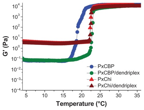 Figure 1 Variations of the elastic modulus, G′, as a function of temperature for the in situ-forming gels with or without dendriplexes.Abbreviations: PxCBP, poloxamer/carbopol gel; PxChi, poloxamer/chitosan gel.