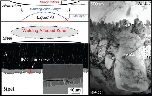Figure 2. Schematic of macrostructure dissimilar resistance spot welds between aluminium and steel along with details of interfacial reaction zone. The bonding zone length, IMC thickness and indentation in Al sheet are determining factors for weld mechanical performance. When reaction layer (lower right part [Citation40]) is thicker than a critical value, the joint fails via crack propagation through brittle IMC. Controlling the thickness of Al5Fe2 phase (left part [Citation41]), the dominant phase in the IMC layer, is of crucial importance for producing strong and reliable dissimilar Al/steel welds.