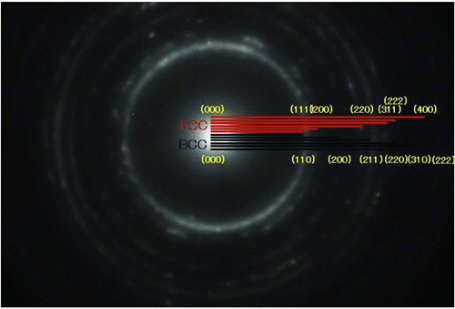 Fig. 6 Analysis of ED of Fig. 3A (color figure available online).