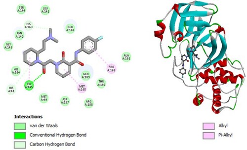 Figure 3. 2D diagram of interactions, and positioning of the molecule M79 inside the active site of SARS-CoV-2 main protease.