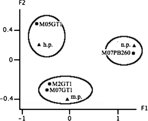 Figure 2.  Correspondence analysis visualizing the responses of the clones to the Loranthaceae in the smallholding plantations. The triangles represent the susceptibility levels; and circles, the clones. Respective inertia rates of the factorial axes F1 and F2: 90.8% and 9.2%. n.p., not parasitized; m.p., moderately parasitized; h.p., highly parasitized.