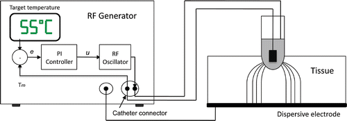 Figure 4. Implementation of the temperature-controlled protocol inside the RF generator. The controller uses the error signal (e), which is the difference between the temperature measured at the electrode tip (Tm) and the target temperature set by the user. This signal is used by the PI controller to create an output signal (u) which modulates the output amplitude of a RF oscillator.