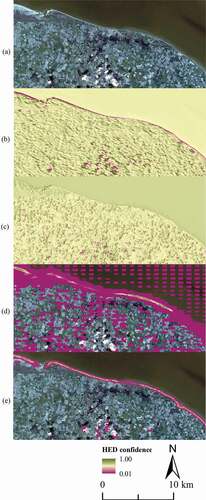 Figure 5. (a) Original 3 m PlanetScope image of Cromer, Norfolk, UK (52°93ʹ58.3 N, 1°27ʹ18.0 E). Predicted coastal vegetation edge locations using the HED model trained with spectral band combination (b) RGB, (c) RG-NDVI, (d) RB-NIR, (e) RG-NIR.