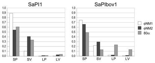 Figure 5. Particle distribution histograms for the mobilization of SaPI1 and SaPIbov1 by phages φNM1 (white), φNM2 (black) and 80α (hatched). Particles were scored as small procapsids (SP), small virions (SV), large procapsids (LP) and large virions (LV) and plotted as a fraction of the total number of particles scored in each sample.