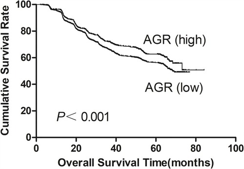 Figure 3 Overall survival of gastric cancer patients stratified by different values of AGR.