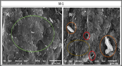 Figure 13. SEM images of the morphology of the formed alkali activated binder show a dense texture (a), unreacted particles accompanied with little open pores and agglomerated wavy – glassy matrix (b).