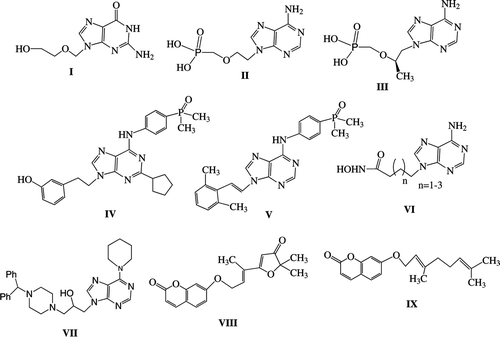 Figure 1  Modified nucleosides and coumarin derivatives with important biological activities.