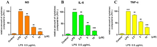 Figure 3. Inhibiting of the cytokine production. RAW264.7 cells were pre-treated with compound 8 at concentrations of 10, 5, and 2.5 μM for 1 h, incubated with LPS (0.5 μg/ml) for 24 h, (A) NO production was measured using Griess Reagent assay. The levels of (B) IL-6 and (C) TNF-α in the culture medium were measured by ELISA. ***p < 0.001; **p < 0.01; *p < 0.05 vs. LPS group.
