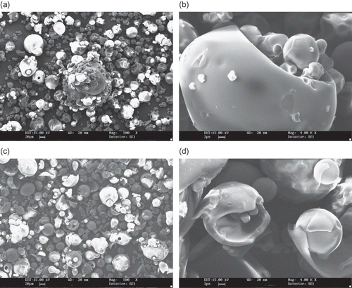 Figure 5 SEM microphotographs of different maltodextrins from supplier C: (a) C1 (DE 07 manioc maltodextrin, 500X); (b) C1 (DE 07 manioc maltodextrin, 4000x); (c) C2 (DE 21 manioc maltodextrin, 500X); (d) C2 (DE 21 manioc maltodextrin, 4000x).