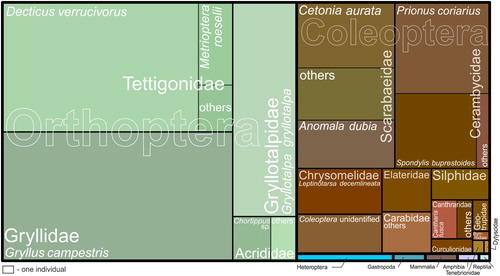 Figure 1. Number of prey individuals (proportional to area of rectangles) found in European Rollers’ nests in southern Poland, as presented in Table 1.