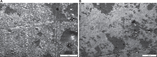 Figure 7 Scanning electron microscopy of grafted polystyrene under 30 KGy. A) Magnification 1000× (scale: 20 μm). B) Magnification 5000× (scale: 5 μm).