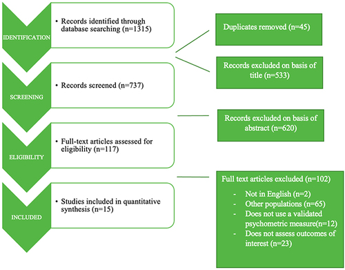 Figure 1 Presentation of detailed search strategy.