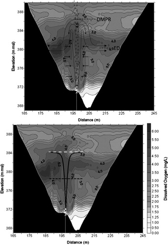 Figure 1. Images of DO measurements collected in Spring Hollow Reservoir after 24 h of diffuser operation, comparing an idealized plume (top) and a modeled plume (bottom).