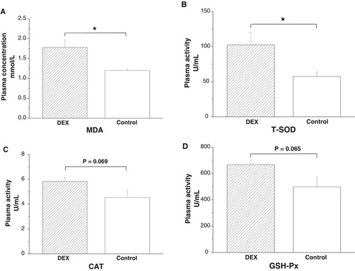 Figure 1. Effects of DEX (2.0 mg/kg body weight) on plasma parameters of the broilers in experiment 1. Data are expressed as the mean ± SEM (n = 8). *P < .05. (A) MDA; (B) T-SOD; (C) CAT; (D) GSH-Px.