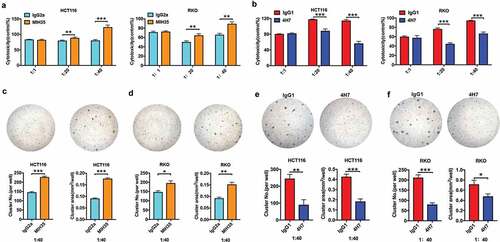 Figure 4. B7-H3 inhibited the antitumor cytotoxic potential of Vδ2 T cells