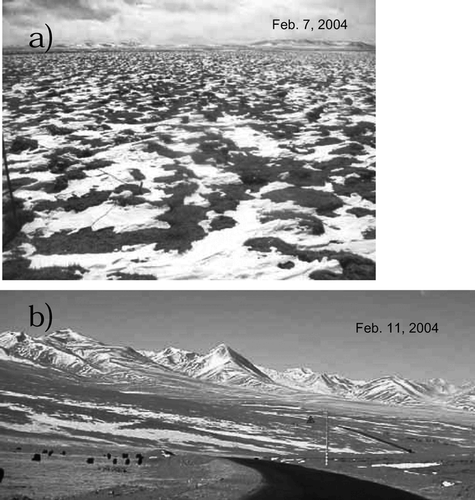 Figure 8 Surface condition at (a) S10 point and (b) south of Naqu City (near S15 point). S10 is the same location as D110 CEOP-AWS. Black spots in the lower left of (b) are yaks.