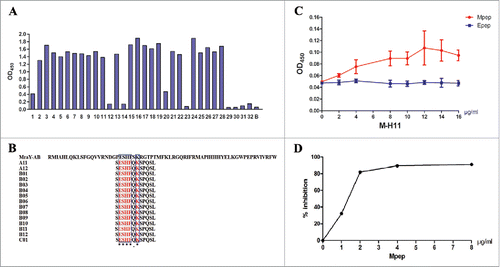 Figure 2. Analysis and characterization of Mpep. (A) Detection of the binding activity of the phage clones by ELISA. 1–32: phage clones from the third round of biopanning; B: BSA control. (B) The sequences of 12 peptides displayed by 15 phage clones. Multiple sequence alignment was performed using Clustal Omega. The symbol * means the site has the same amino acid, the symbol. means the amino acids belong to one group. Glutarnine (Q) and Serine (S) are both of uncharged polar side chains group. The blue box represents the same amino acid. (C) Affinity reaction of Mpep and M-H11 (Epep as control). Data were expressed as the mean ± standard deviation (S.D). The experiment was repeated 3 times. (D) Competitive inhibition of Mpep against MraY-AB and M-H11.